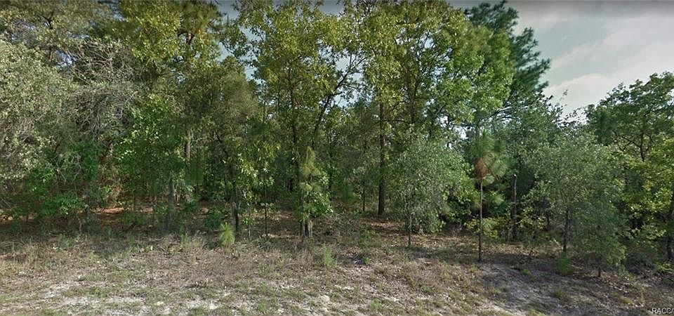 1st image of 7056 N Maltese Dr