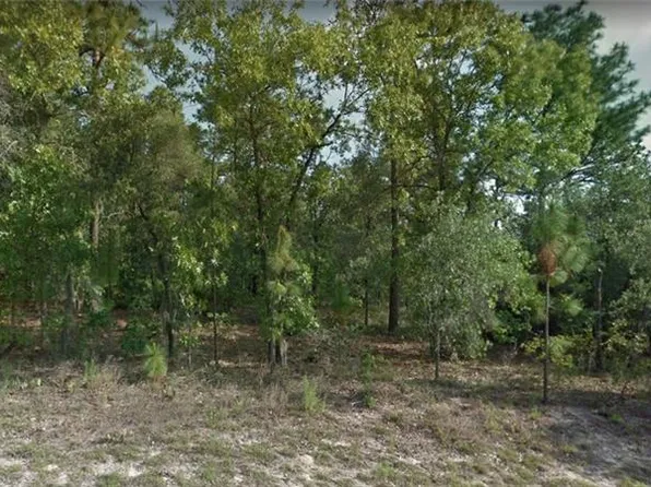 7056 N Maltese Dr, Citrus Springs, FL 34433
