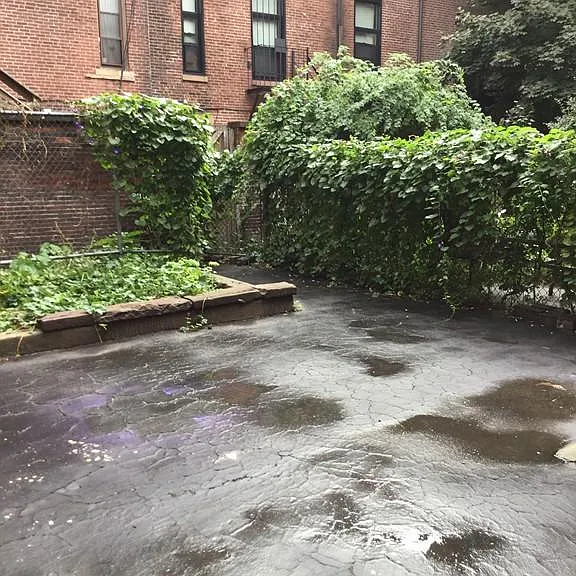 181 Northampton St #3 — Photo 9