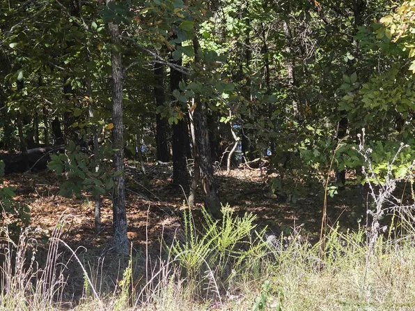 L-78 B 2 San Juan Trl, Cherokee Village, AR 72529