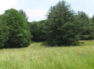 LOT 53.2 Mitchell Pond, Cochecton, NY 12752