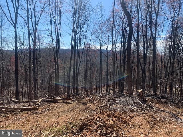 1st image of LOT 47 Blandemar Dr