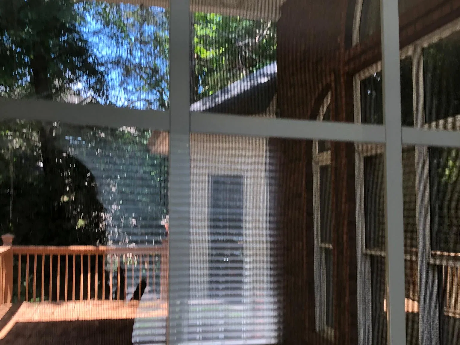 5 bed, 4800 sqft, $3,500 — Photo 3