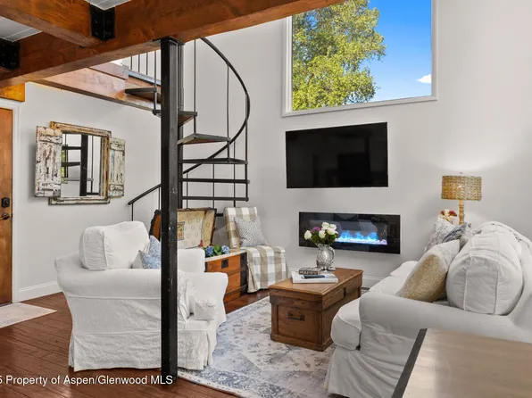 1024 E Cooper Ave APT 8, Aspen, CO 81611