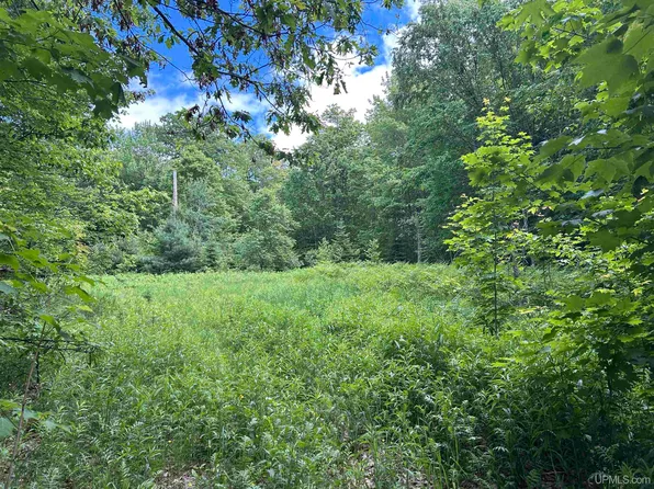N Carlshend Rd, Skandia, MI 49885