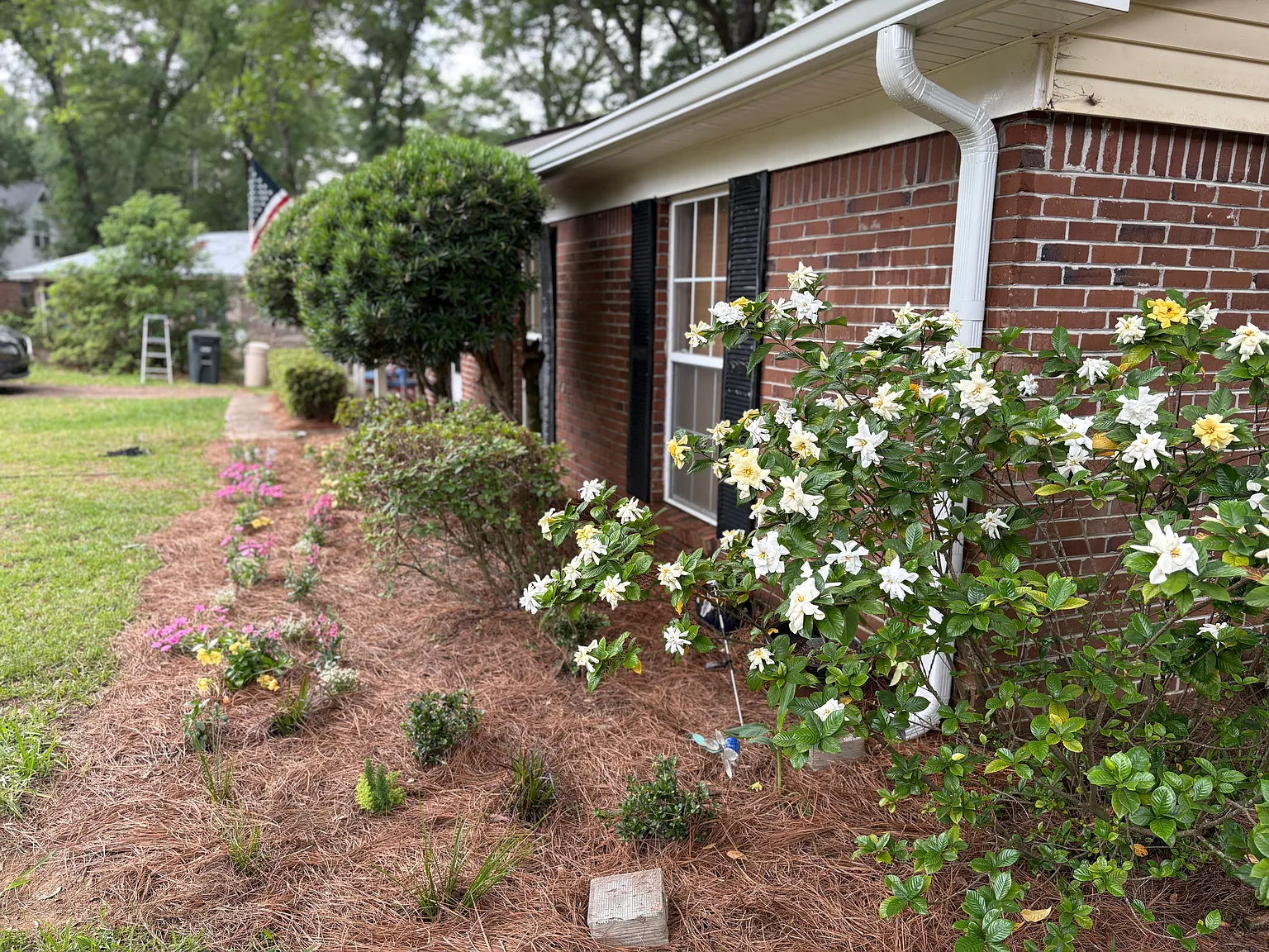 3 bed, 1366 sqft, $2,250 — Photo 4