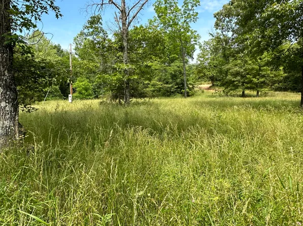 2000 County Road Aa-100, Alton, MO 65606