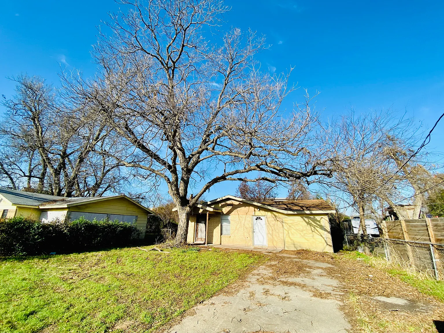 1 bed, $599 — Photo 4