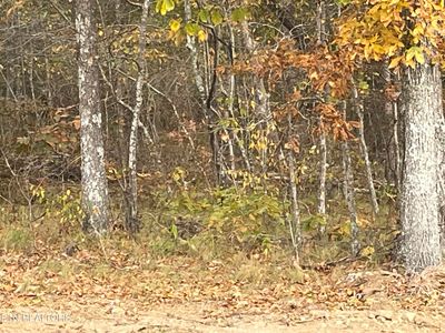 6504 Topez Dr, Crossville, TN, 38572