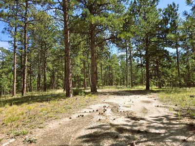 S Meridian Rd, Colorado Springs, CO, 80929