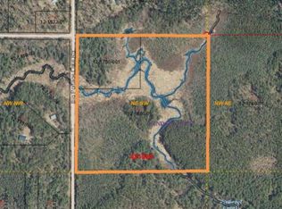 W Big Portage Lake Rd #40, Land O Lakes, WI 54540