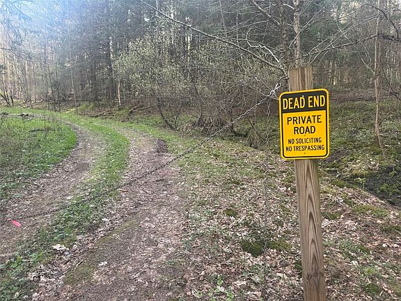 2nd image of Bramley Mountain Rd