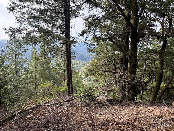 3rd image of 17707 Rockpile Road