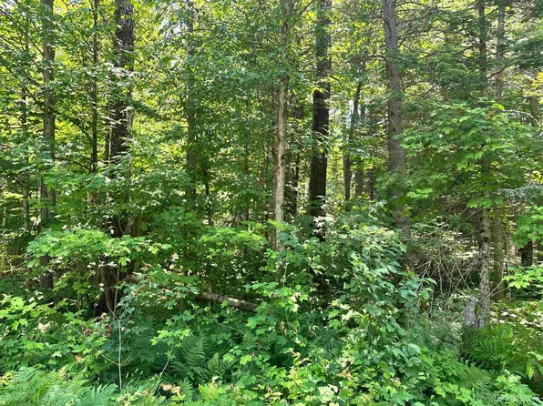 County Road 482 Rd, Ishpeming, MI 49849