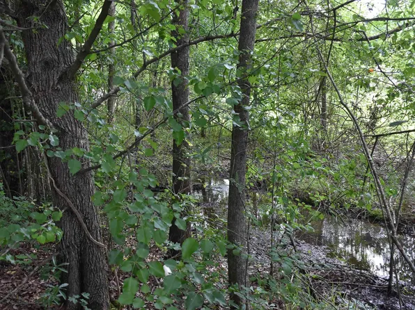0 Marble City Heights Cir Lot 1, Sylacauga, AL 35150