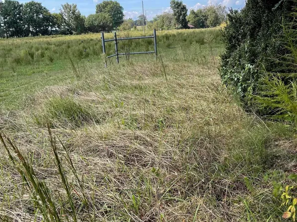 699 County Road 540, Fyffe, AL 35971