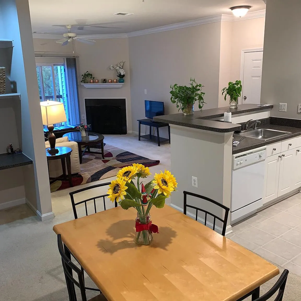 Fairfax Ridge Condo — Photo 4