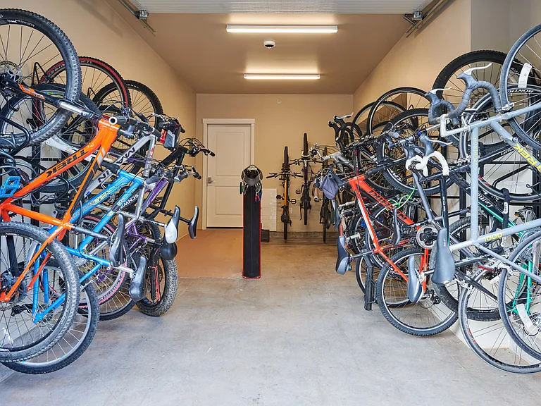 Bicycle Storage