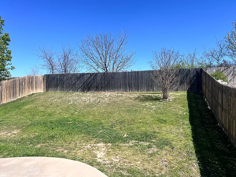 Backyard 2