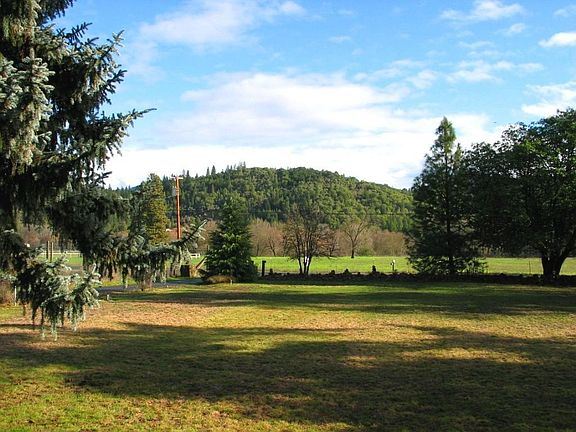 View From the Living Room