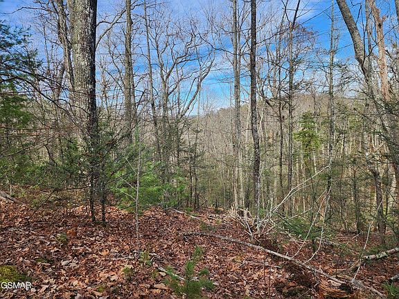 4th image of 0 Dockery Branch Rd