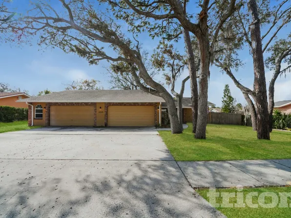 1009 Jamaica Way, Tarpon Springs, FL 34689