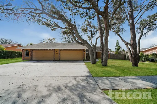 1009 Jamaica Way Photo 1 1009 Jamaica Way Photo 1