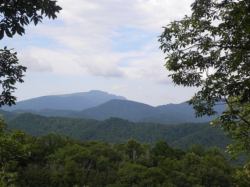 Summer view