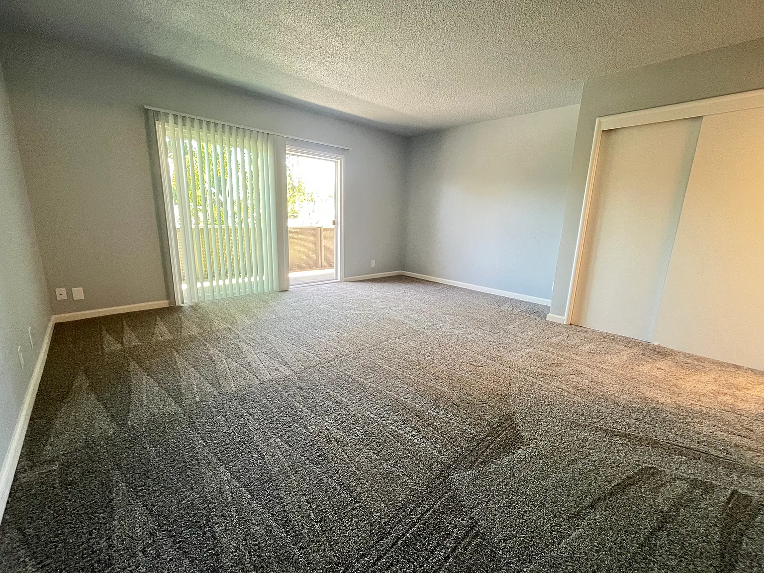 Studio, 395 sqft, $1,950 — Photo 4