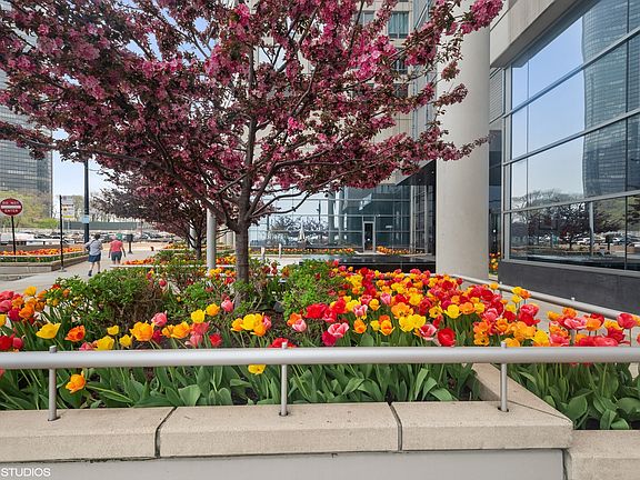 3rd image of 600 N Lake Shore Dr APT 2709