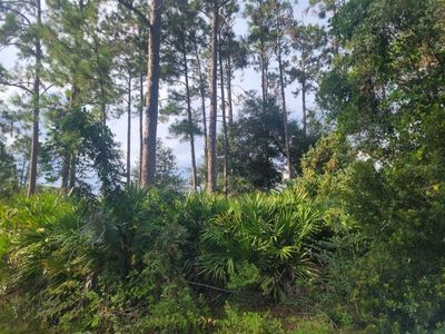 10040 Light Ave, Hastings, FL, 32145