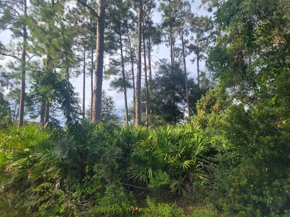 10040 Light Ave, Hastings, FL 32145