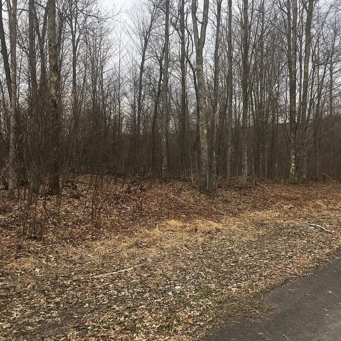 LOT 13 Rinard Ave LOT 13, Beltsville, MD 20705 MLS MDPG547406 Zillow