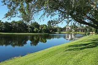 Lake view