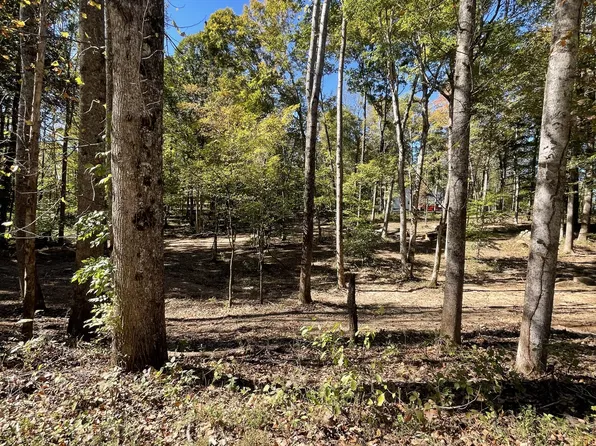 0 Breeden Rd Tract 3, Charlotte, TN 37036
