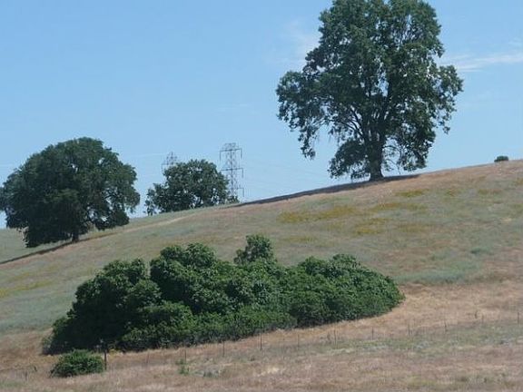5th image of 3262 Greenwood Ln