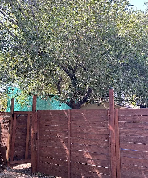 view of yard area