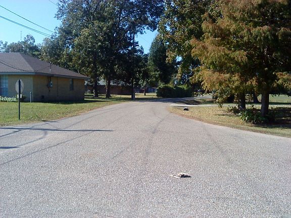 5th image of 240 Historic West St