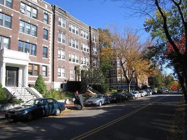 335a Harvard Street — Photo 3