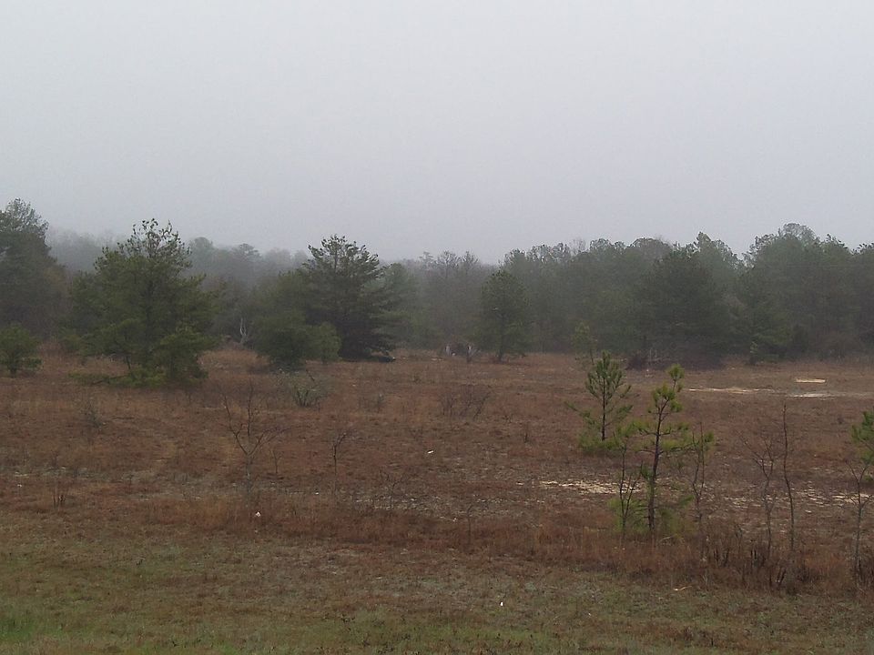 Open land fronting US 341