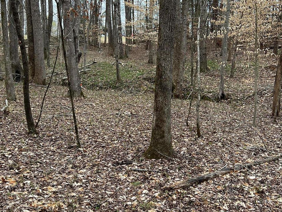 2nd image of 2452 State Highway 57 N #4