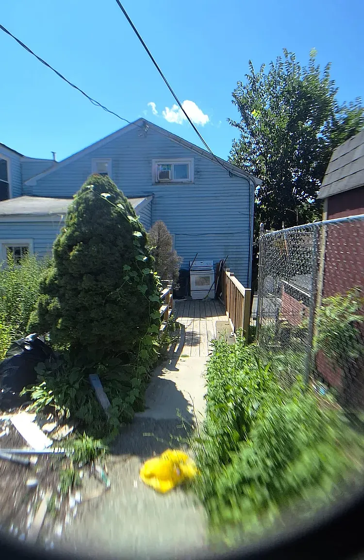 1 bed, $1,600 — Photo 3