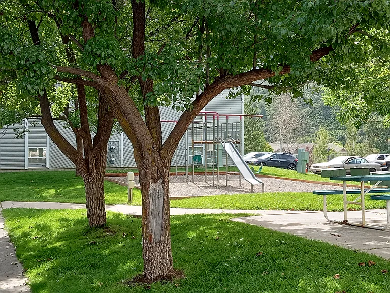 Westwood — Photo 17