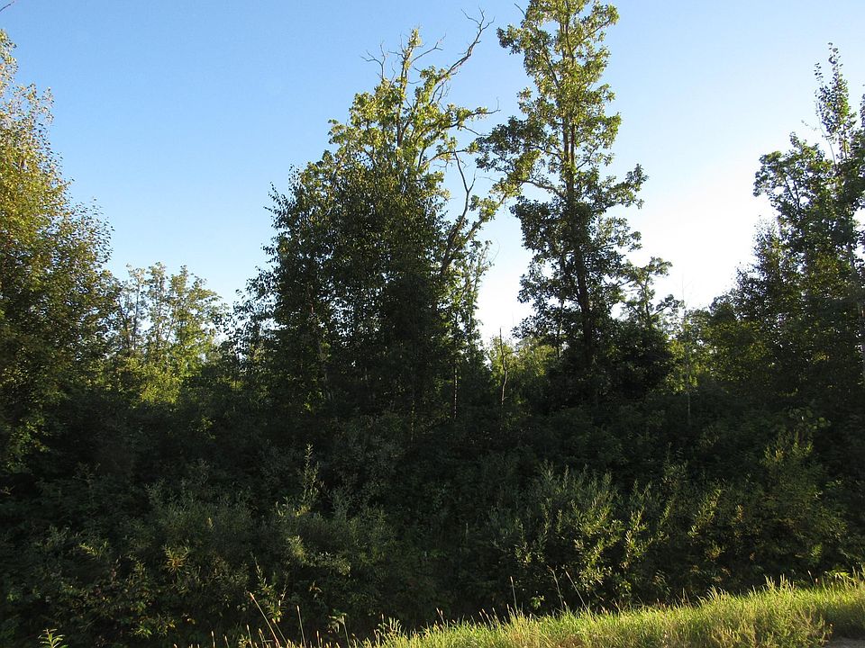 2nd image of 32nd Ave SW Parcel 4