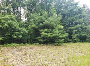 2840 E Mullett Lake Rd LOT 6, Indian River, MI 49749