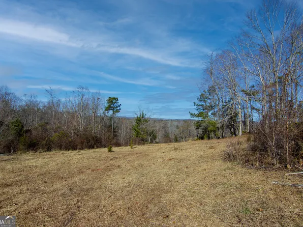 TRACT Six 0 Chestnut Grove Rd, Shiloh, GA 31826