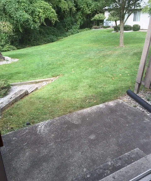 Rosewood Apartments — Photo 19