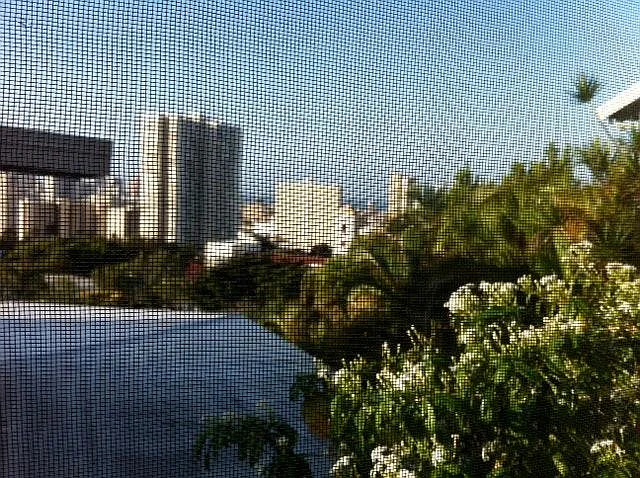Mott Smith Dr — Photo 11