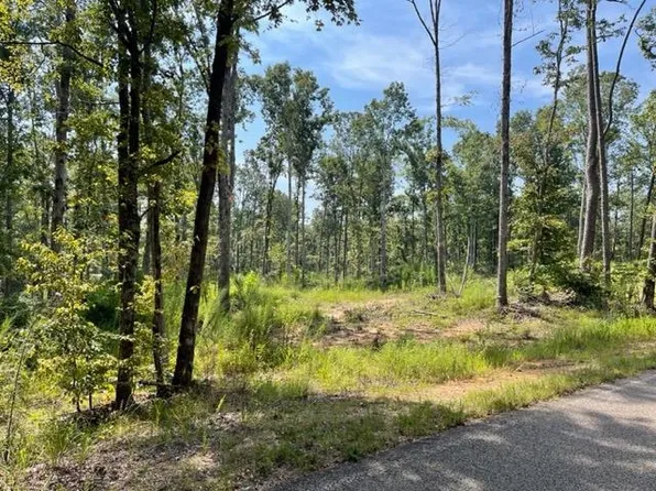 Gooch Store Rd, Hornsby, TN 38044