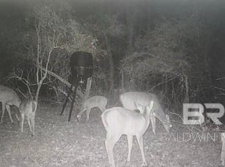 6177 County Road 7, Repton, AL 36475